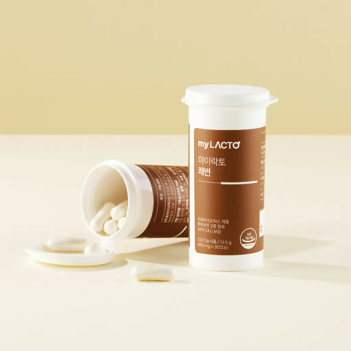 [LACTOMASON_myLACTO]국민약쟁이 신현준 온가족 유산균 쾌변 변비 유산균 소장 대장 장건강 프로바이오틱스 임산부 배변